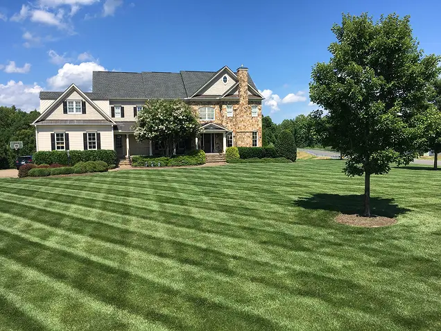 Beautiful house with lawn